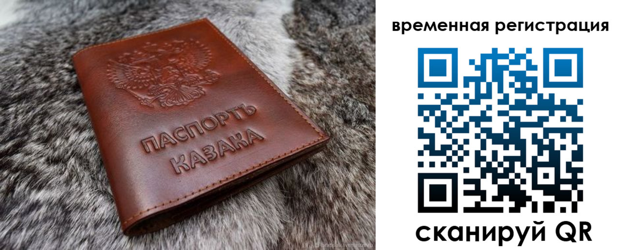 прописка 2025 в Невеле